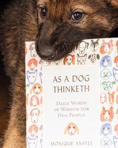 Dog Training books, dog philosophy, understanding dogs, dog books